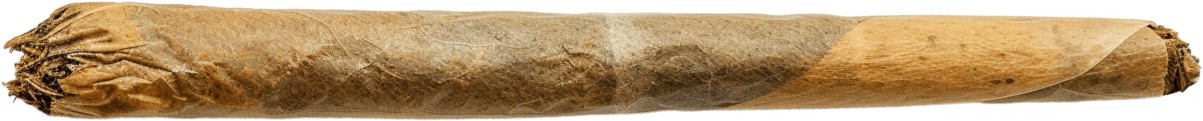 Joint Body